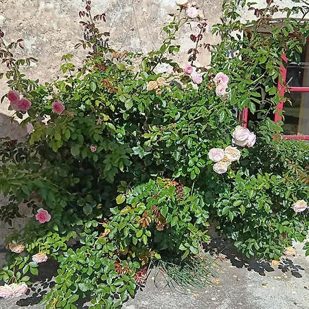 Renove A Avec Jardin, Wifi, Animaux Acceptes - Fr-1-585-166 Mauvages